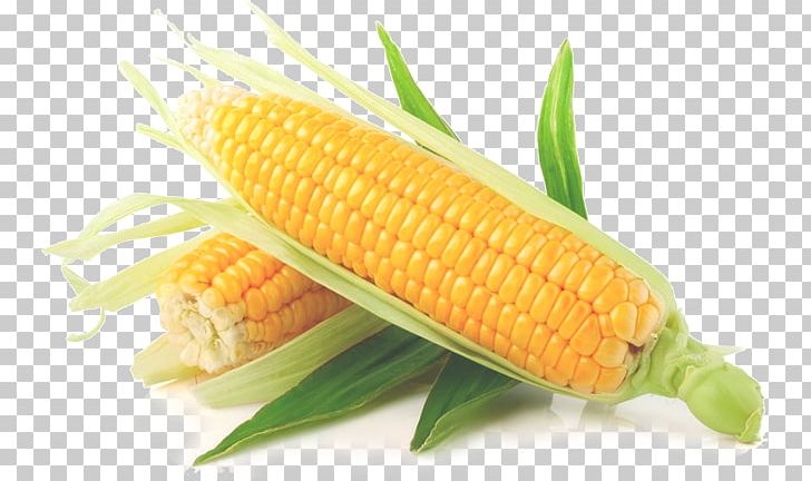 Maize Sweet Corn Corn On The Cob Vegetable Starch PNG, Clipart, Agriculture, Cereal, Commodity, Corn, Corn Kernels Free PNG Download
