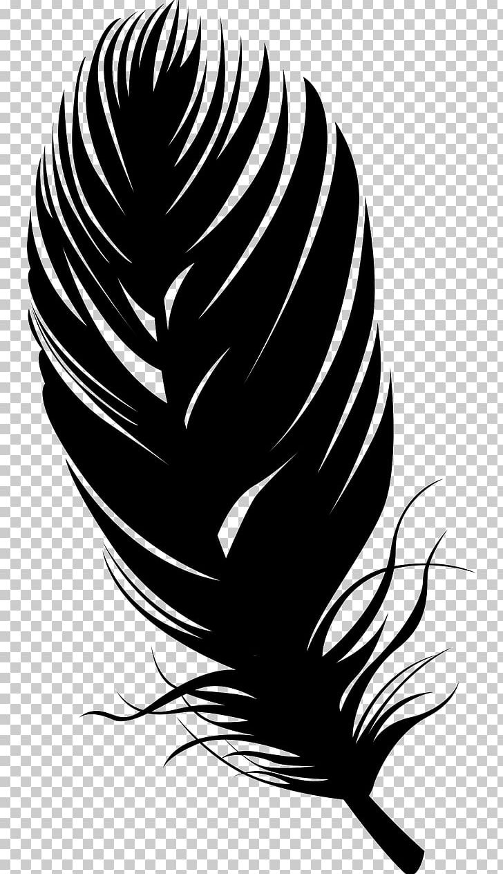 Bird Feather Silhouette PNG, Clipart, Animals, Background Black, Bird, Black, Black And White Free PNG Download
