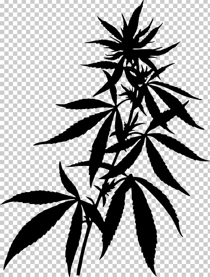 Medical Cannabis Hemp PNG, Clipart, Black And White, Branch, Cannabis, Cannabis Sativa, Clip Art Free PNG Download
