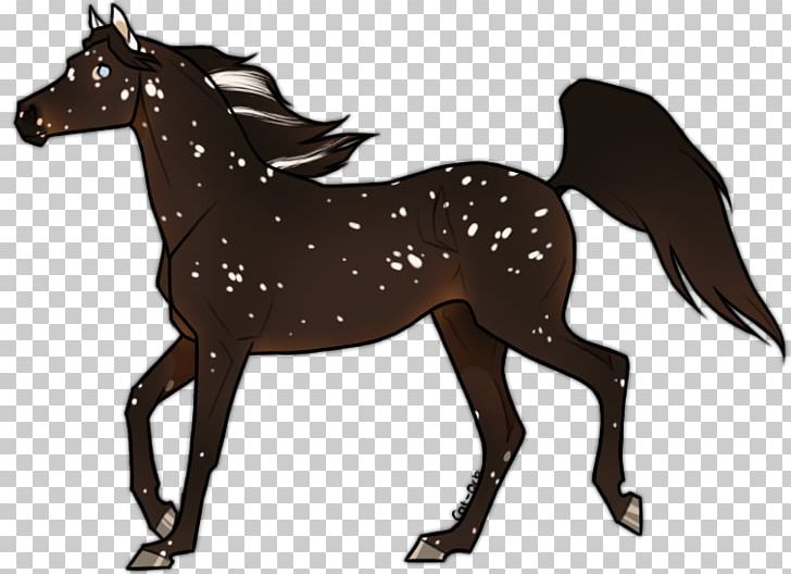 Mustang Foal Stallion Colt Mare PNG, Clipart,  Free PNG Download