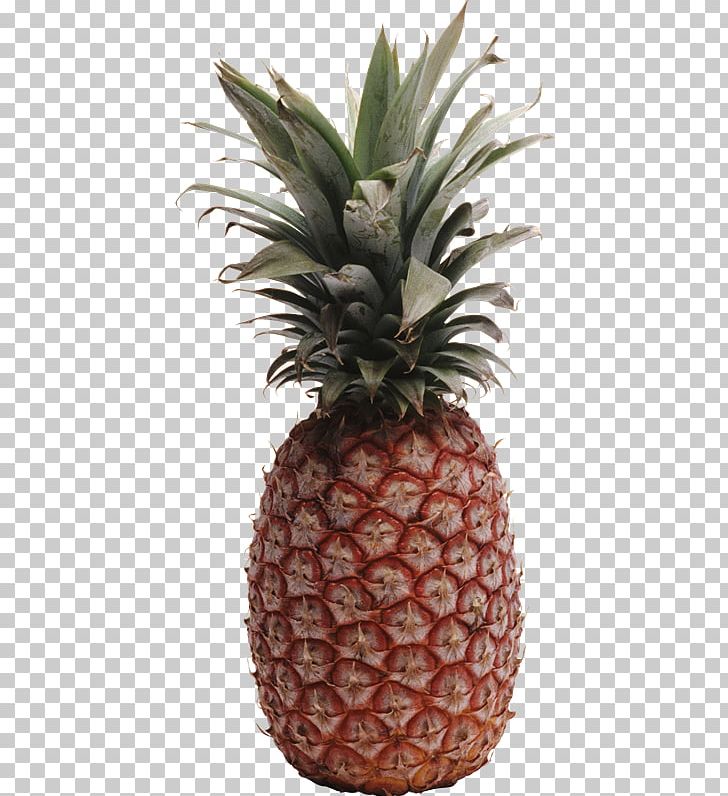 Pineapple Диеты? Диеты! PNG, Clipart, Ananas, Book, Bromeliaceae, Diet, Digital Library Free PNG Download