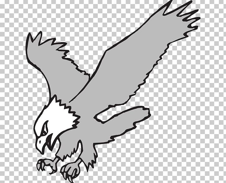 white hawk drawing
