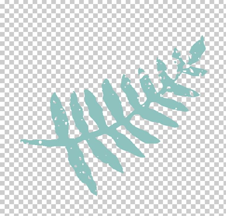 Leaf Turquoise Feather Font PNG, Clipart, Aqua, Branch, Feather, Leaf, Leaf Area Index Free PNG Download