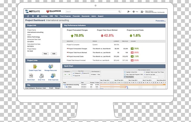 NetSuite User Interface Computer Software Enterprise Resource Planning PNG, Clipart, Area, Business Software, Computer, Computer Monitor, Computer Program Free PNG Download