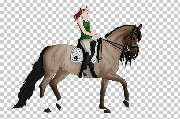 Stallion Dressage Rein Mustang Mare PNG, Clipart, Animal Sports, Animal Training, Bridle, Dressage, English Riding Free PNG Download