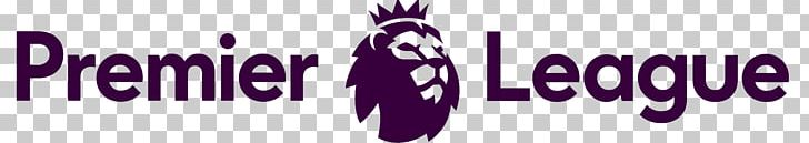 2017u201318 Premier League England English Football League Stoke City F.C. EFL Cup PNG, Clipart, Association Football Manager, Banner, Brand, Graphic Design, Harry Kane Free PNG Download