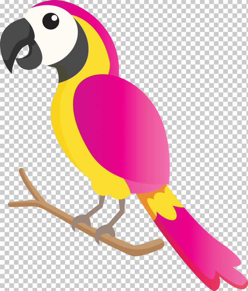 Parrots Birds Beak Hornbill Toucans PNG, Clipart, Beak, Bird Cartoon, Birds, Cartoon, Curriculum Free PNG Download
