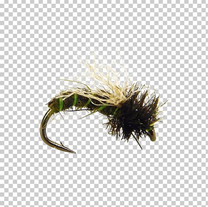 Caddisfly Fly Fishing Pupa Insect Larva PNG, Clipart, Caddisfly, Crate, Fishing, Fly, Fly Fishing Free PNG Download