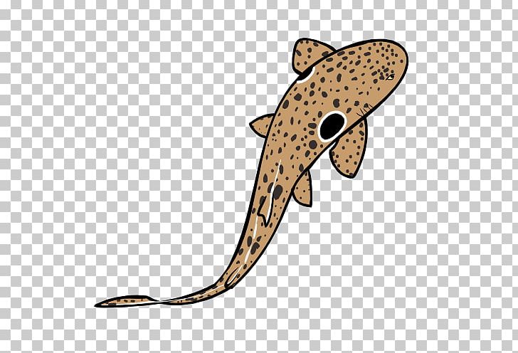 Epaulette Shark Drawing PNG, Clipart, Animals, Art, Bull Shark, Carnivoran, Cat Like Mammal Free PNG Download