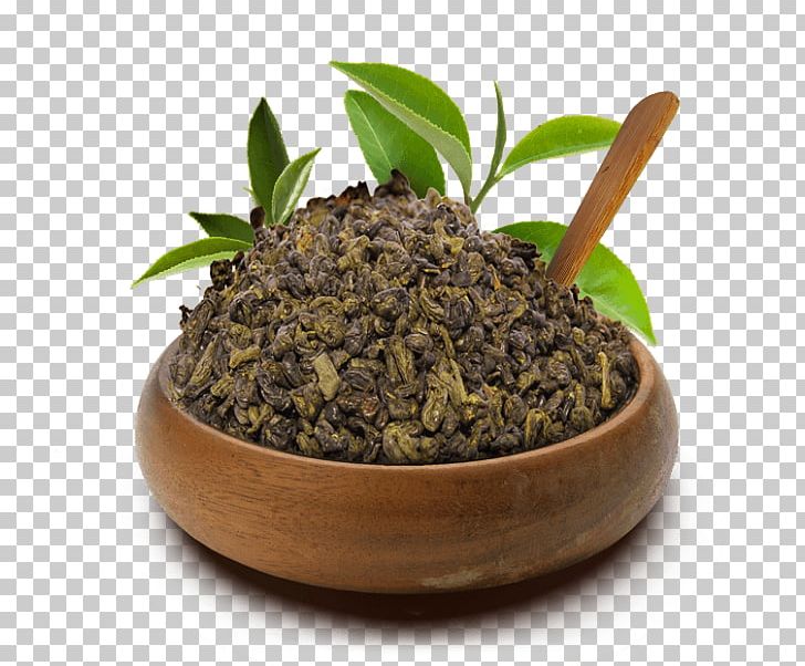 Oolong Nilgiri Tea Green Tea Yogi Tea PNG, Clipart, Biluochun, Camellia Sinensis, Cha, Commodity, Dieting Free PNG Download