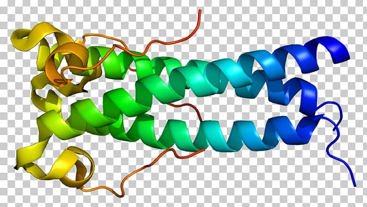 Syncytin-1 Syncytin-2 Endogenous Retrovirus Syncytine 1 PNG, Clipart, Artwork, Body Jewelry, Cell, Cell Fusion, Embryos Free PNG Download