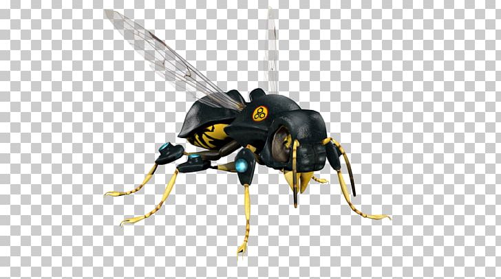 Wasp Pest Hornet Bee Insect PNG, Clipart, Animal, Arthropod, Bed Bug, Bee, Concept Free PNG Download