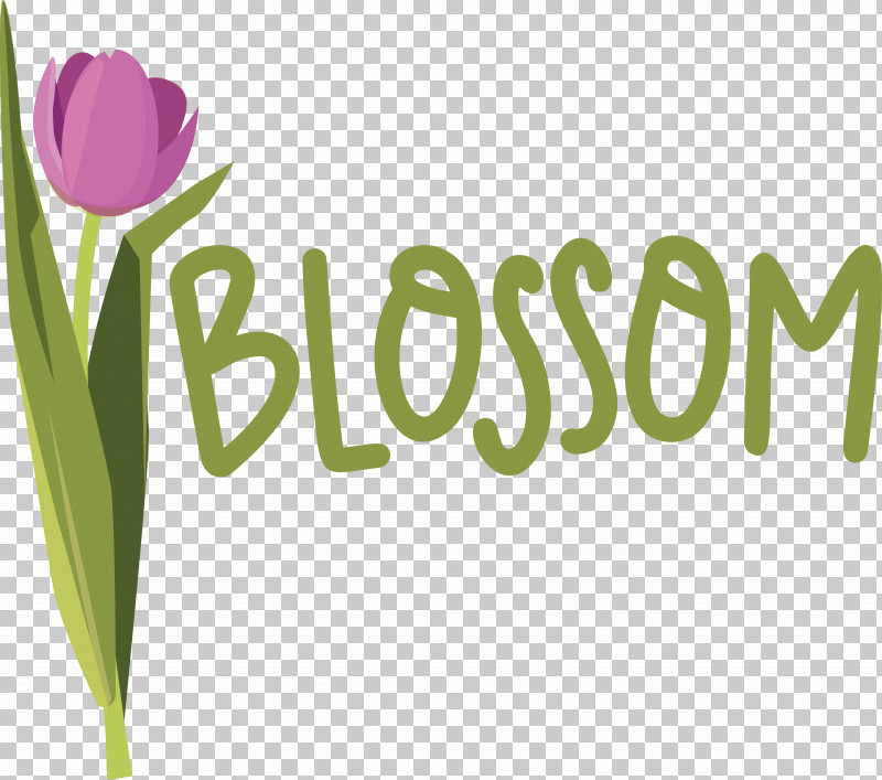 Floral Design PNG, Clipart, Biology, Floral Design, Logo, Meter, Petal Free PNG Download