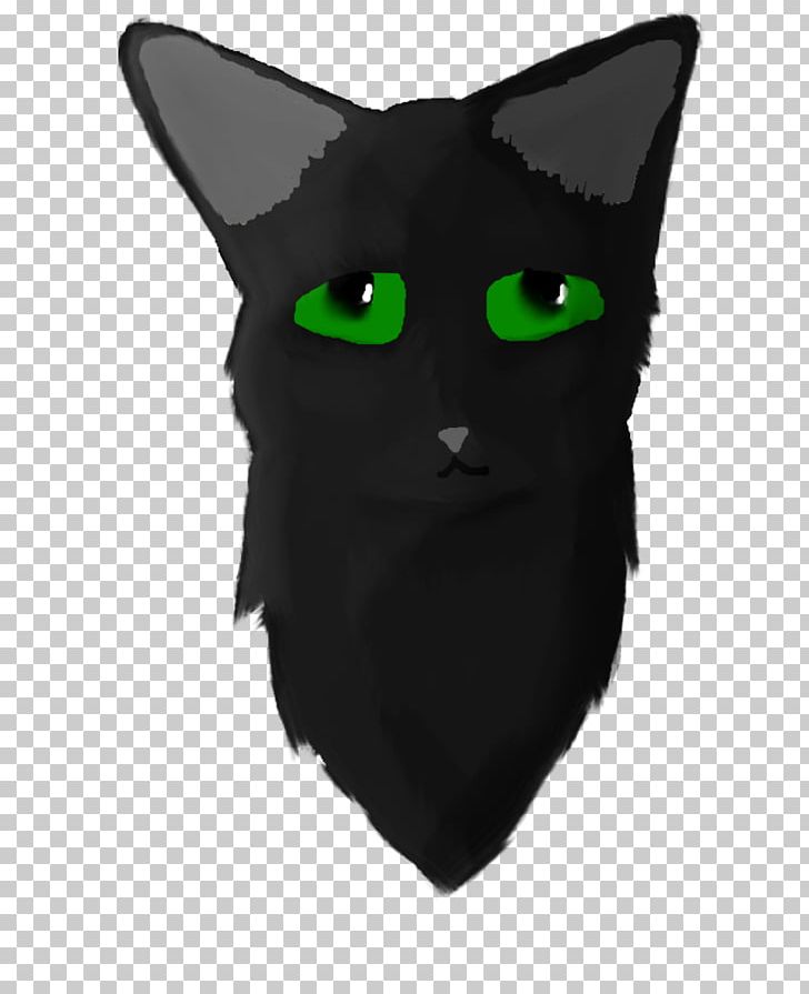 Korat Whiskers Domestic Short-haired Cat Snout Black M PNG, Clipart, Black, Black Cat, Black M, Carnivoran, Cat Free PNG Download