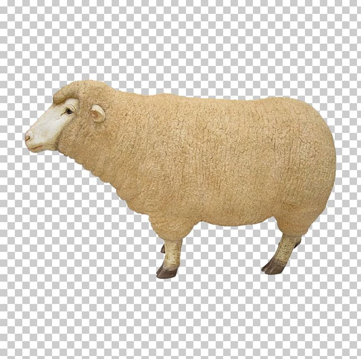 Sheep Cattle Snout Terrestrial Animal Mammal PNG, Clipart, Animal, Animal Figure, Animals, Cattle, Cattle Like Mammal Free PNG Download