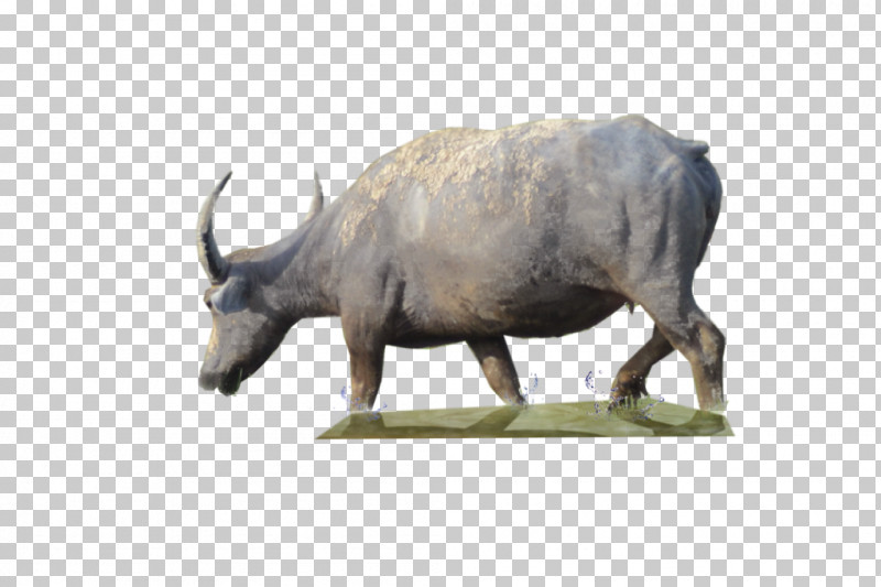 Horn Black Rhinoceros Animal Figure Rhinoceros Wildlife PNG, Clipart, Animal Figure, Black Rhinoceros, Bovine, Bull, Cowgoat Family Free PNG Download