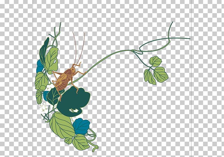 Bush Crickets Insect Illustration PNG, Clipart, Branch, Bush Crickets, Flora, Floral Design, Flower Free PNG Download