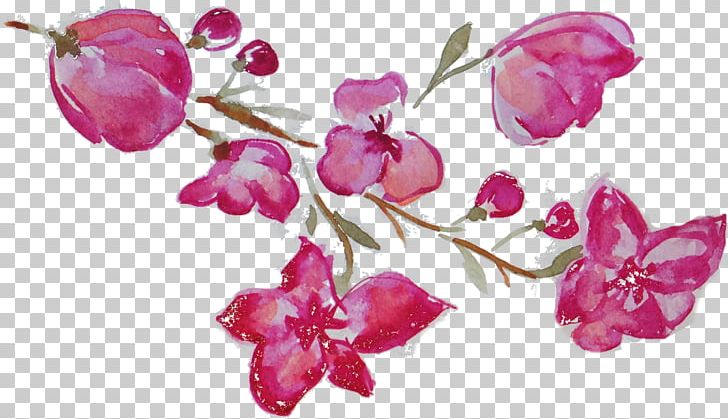 Flower Watercolor Painting Photography Floral Design PNG, Clipart, Blossom, Boudoir, Branch, Cherry Blossom, Computer Icons Free PNG Download