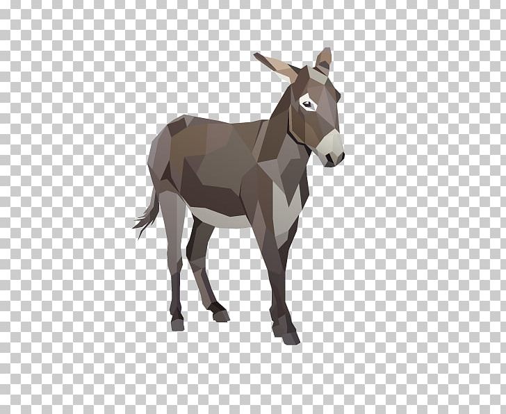 Foal Provence Donkey Horse Colt PNG, Clipart, Animal, Animal Donkey, Animals, Cartoon Donkey, Donkey Face Free PNG Download