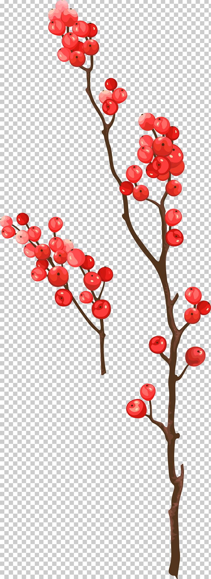 Frutti Di Bosco Berry PNG, Clipart, Branch, Christmas Decoration, Clip Art, Creative Christmas, Decor Free PNG Download