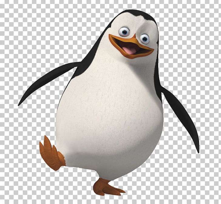Rico Skipper Penguin Kowalski Madagascar PNG, Clipart,  Free PNG Download