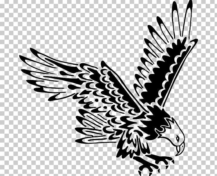 Bald Eagle Tattoo Black-and-white Hawk-eagle Eagle Feather Law PNG, Clipart, Animals, Bald Eagle, Beak, Bird, Bird Of Prey Free PNG Download
