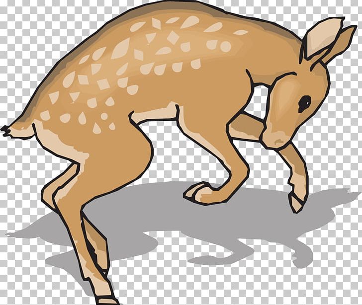 White-tailed Deer PNG, Clipart, Animal Figure, Animals, Artwork, Carnivoran, Computer Icons Free PNG Download