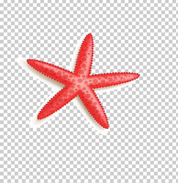 Starfish PNG, Clipart, Adobe Illustrator, Animals, Beautiful Starfish, Cartoon Starfish, Download Free PNG Download