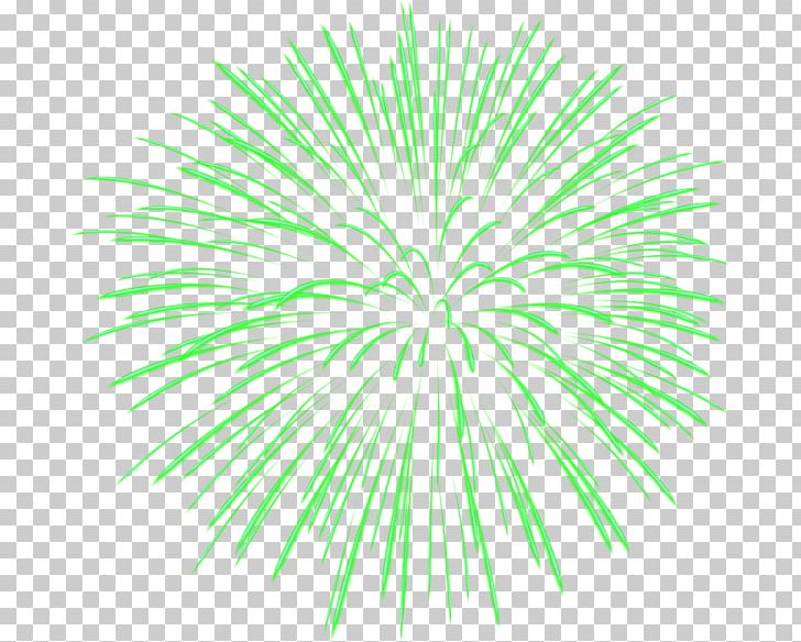 Fireworks Color PNG, Clipart, Arecales, Blue, Circle, Clip Art, Color Free PNG Download
