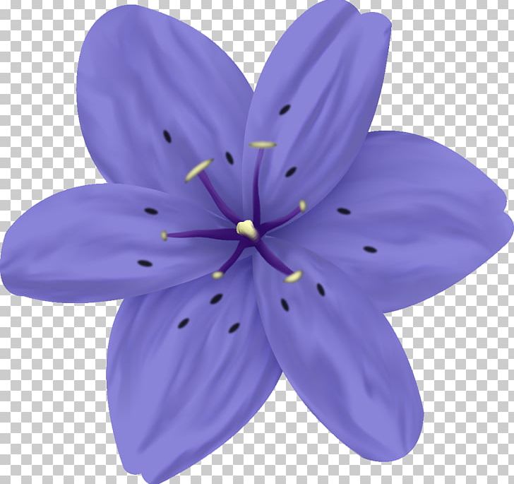 Lavender Lilac Violet Purple Flower PNG, Clipart, Flower, Lavender, Lilac, Nature, Petal Free PNG Download