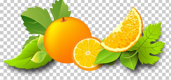 Orange Juice Lemon Auglis PNG, Clipart, Apple Fruit, Auglis, Bitter Orange, Citric Acid, Citron Free PNG Download
