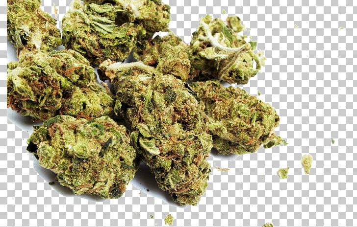 Medical Cannabis Dispensary Cannabis Shop Marijuana PNG, Clipart, Bud, Cannabidiol, Cannabis, Cannabis Sativa, Cannabis Shop Free PNG Download
