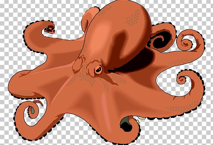 Octopus Free Content PNG, Clipart, Cartoon, Cephalopod, Copyright, Download, Free Content Free PNG Download