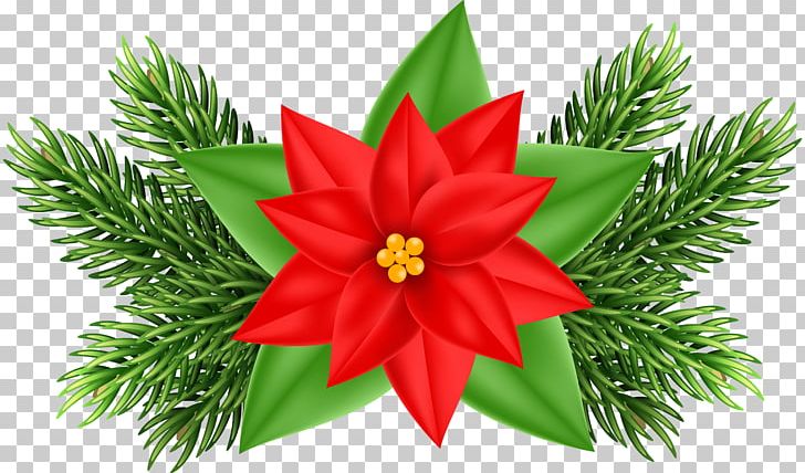Poinsettia Christmas Ornament PNG, Clipart, Art, Art Christmas, Christmas, Christmas Clipart, Christmas Decoration Free PNG Download