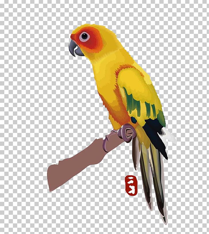 Budgerigar Parrot Lovebird Macaw PNG, Clipart, Animals, Beak, Bird, Common Pet Parakeet, Companion Parrot Free PNG Download