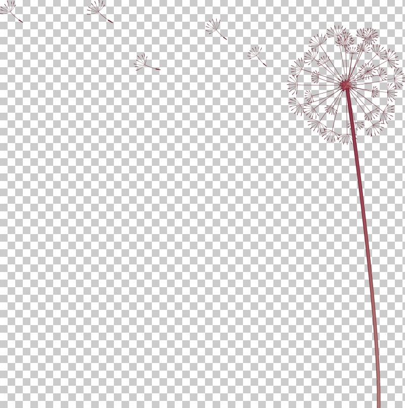 Dandelion PNG, Clipart, Biology, Dandelion, Flower, Geometry, Line Free PNG Download