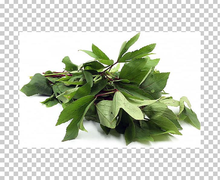 Gongura Indian Cuisine Leaf Vegetable Coriander Telugu Cuisine PNG, Clipart, Coriander, Farmer, Fenugreek, Food Drinks, Gongura Free PNG Download