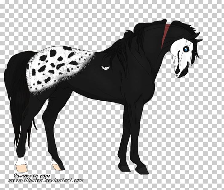Mustang Stallion Pony PNG, Clipart, Black And White, Bridle, Fotolia, Horse, Horse Like Mammal Free PNG Download
