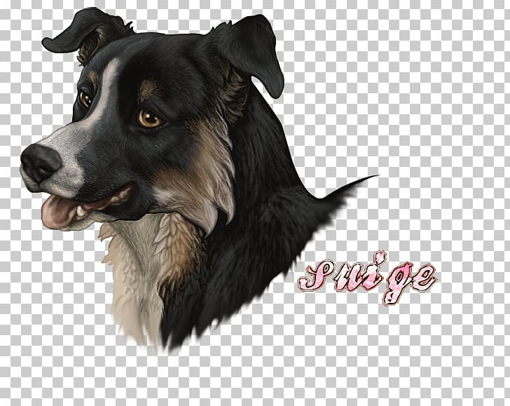 Border Collie Dog Breed Rough Collie Art Museum Companion Dog PNG, Clipart, Art, Art Museum, Border Collie, Breed, Carnivoran Free PNG Download