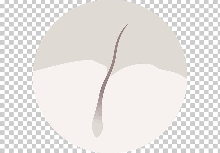 Circle Font PNG, Clipart, Art, Circle, Growth, Hair, Hair Loss Free PNG Download