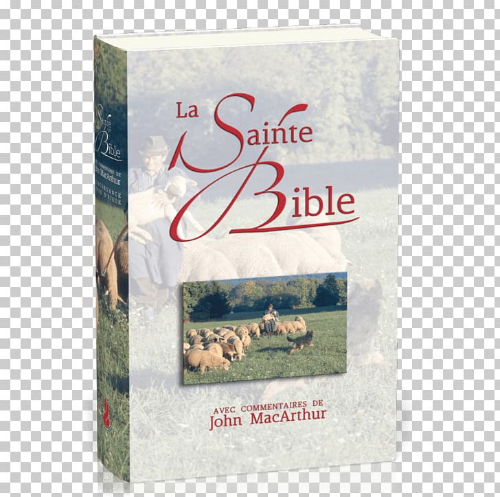 MacArthur Study Bible Schlachter Bible Sainte Bible: Français Louis Segond Traduction Luther Bible PNG, Clipart, Bible, Book, Concordance, John F Macarthur, Louis Segond Free PNG Download