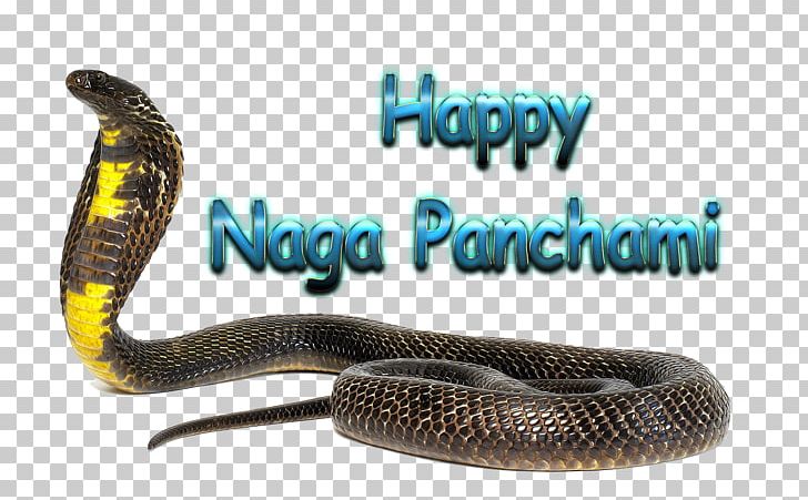 Naga Panchami Product Desktop Portable Network Graphics PNG, Clipart, Desktop Wallpaper, Elapidae, Mamba, Naga Panchami, Name Free PNG Download