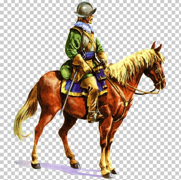 Thirty Years' War Finland Winter War Finnish War Hakkapeliitta PNG, Clipart, Battle, Bridle, Cavalry, Cowboy, Equestrian Sport Free PNG Download