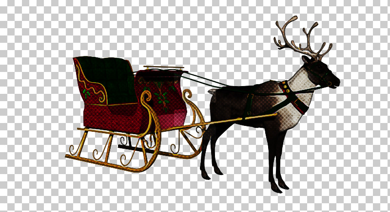 Reindeer PNG, Clipart, Antler, Carriage, Cart, Chariot, Deer Free PNG Download