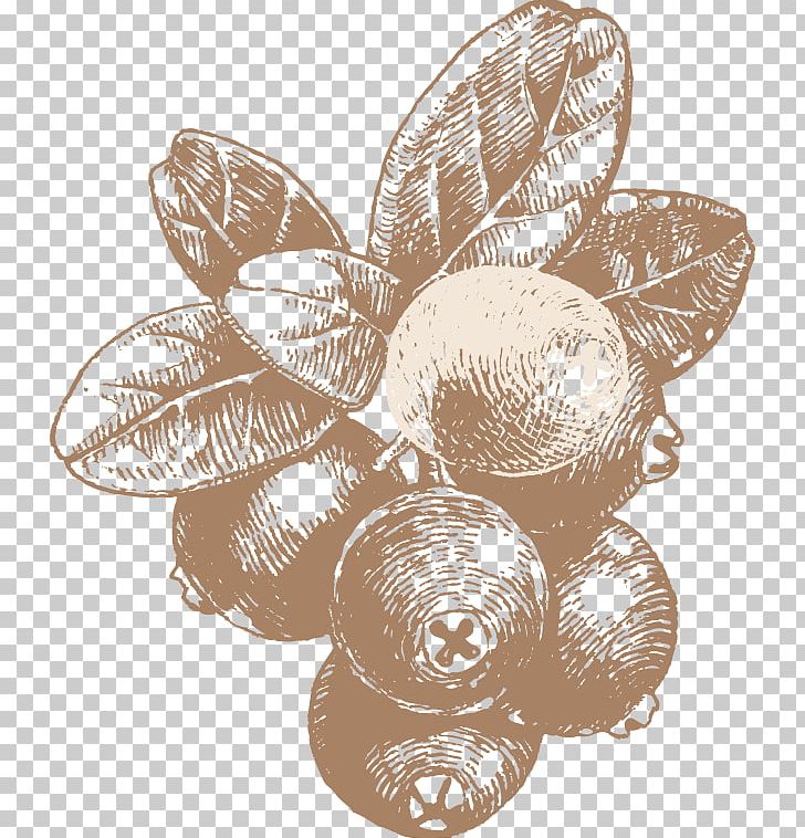 Adolf Darbo AG Syrup Honey Fruit Auglis PNG, Clipart, Adolf Darbo Ag, Advertising, Auglis, Coffee, Color Free PNG Download
