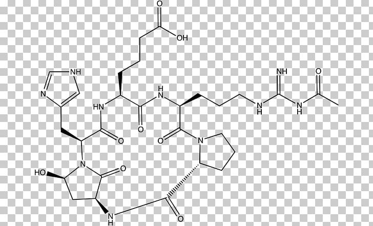 Argadin /m/02csf Chitinase Drawing PNG, Clipart, Angle, Area, Area M, Argadin, Black And White Free PNG Download
