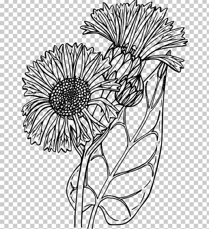 Floral Design Balsamorhiza Careyana PNG, Clipart, Area, Artwork, Balsamorhiza, Bitki, Black Free PNG Download