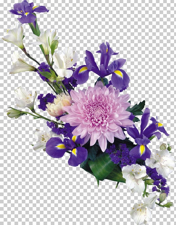 Flower PNG, Clipart, Annual Plant, Aster, Chrysanthemum, Chrysanths, Cut Flowers Free PNG Download