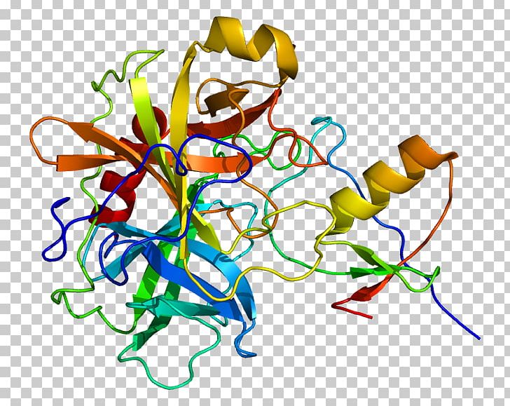 Homology Modeling Protein Structure Prediction PNG, Clipart, Amino Acid, Area, Art, Artwork, Biochemistry Free PNG Download