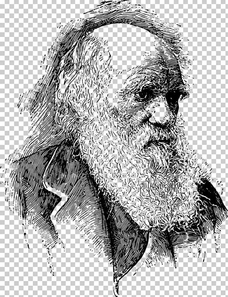 On The Origin Of Species The Descent Of Man PNG, Clipart, Alfred Russel Wallace, Art, Artwork, Beard, Biologist Free PNG Download
